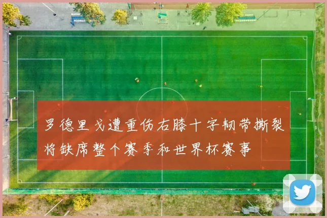 罗德里戈遭重伤右膝十字韧带撕裂将缺席整个赛季和世界杯赛事