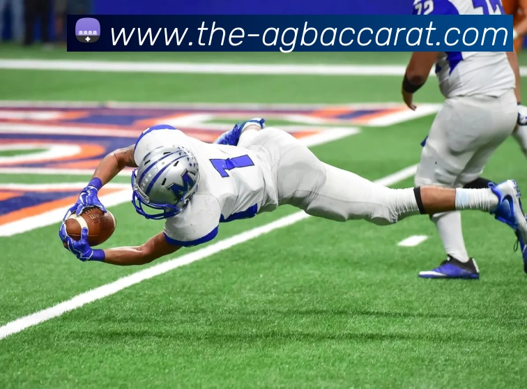 AG百家乐APP 封面图