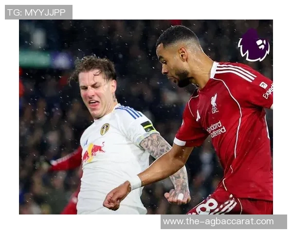 切尔西阿森纳争抢里尔中场布阿迪转会费超5000万欧元